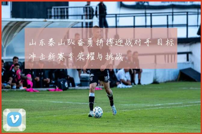 山东泰山队奋勇拼搏迎战对手 目标冲击新赛季荣耀与挑战