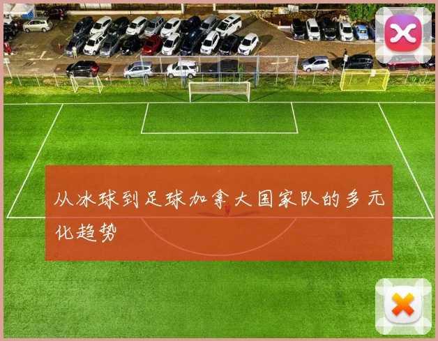 从冰球到足球加拿大国家队的多元化趋势