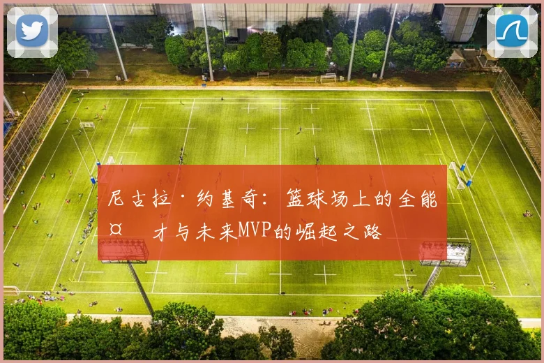 尼古拉·约基奇：篮球场上的全能天才与未来MVP的崛起之路